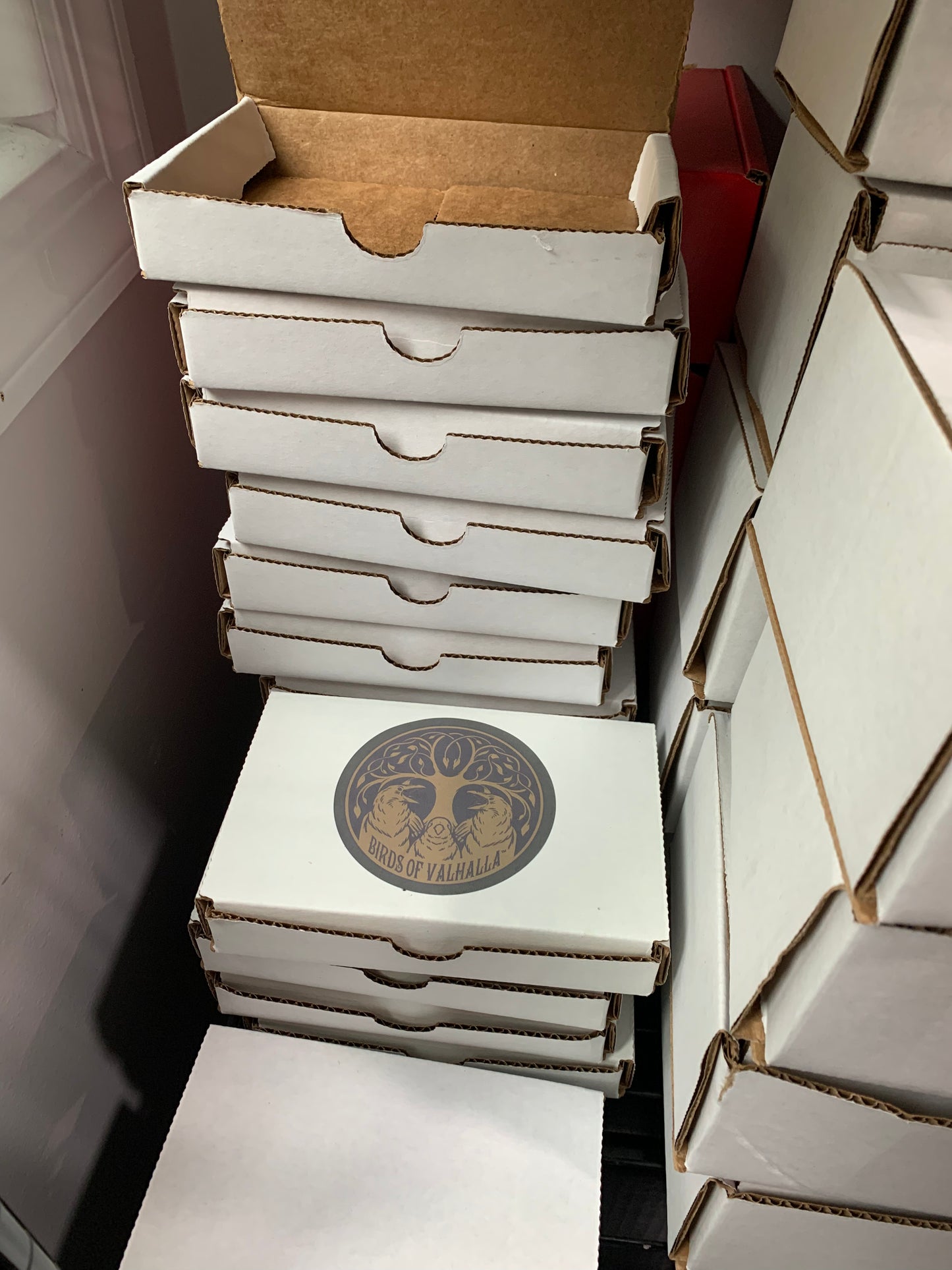 Sample Box!, Birds of Valhalla, LIVE, Birds of Valhalla