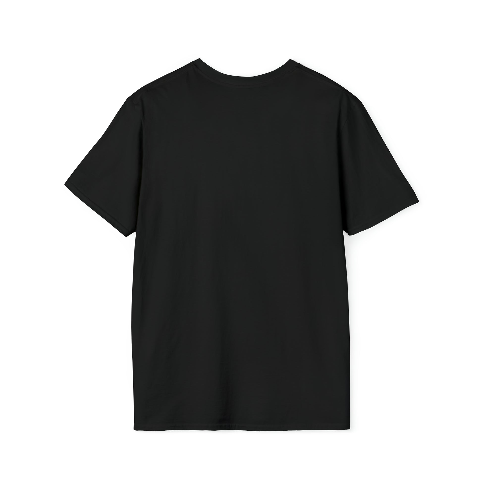 Unisex Softstyle T-Shirt, Birds of Valhalla, T-Shirt, Printify