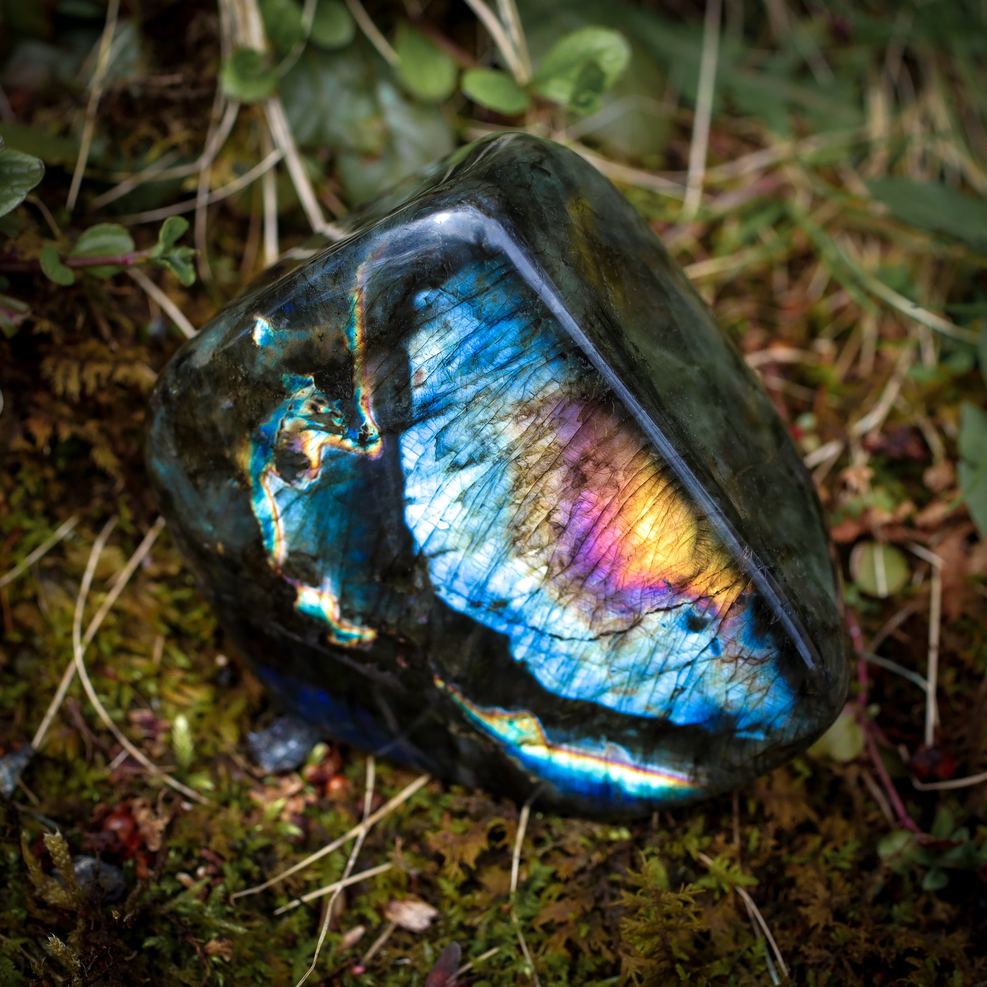 Labradorite Crystal Free Forms, Birds of Valhalla, Gemstones, Birds of Valhalla