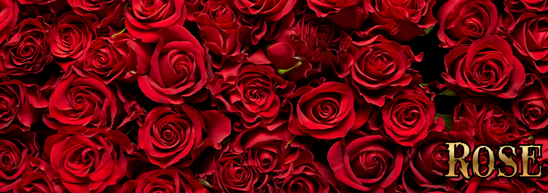 Glass Skull Car Air Freshener Diffusers, Birds of Valhalla, Vehicle Air Fresheners, Birds of Valhalla