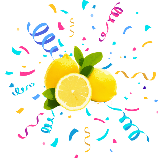 Pre-order Secret Confetti Soap- "Debroos" Anarchy & Lemon, Birds of Valhalla, Bar Soap, Birds of Valhalla