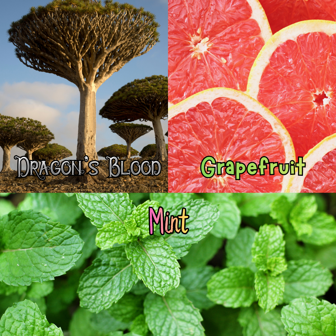 Glass Skull Car Air Freshener Diffusers, Birds of Valhalla, Vehicle Air Fresheners, Birds of Valhalla