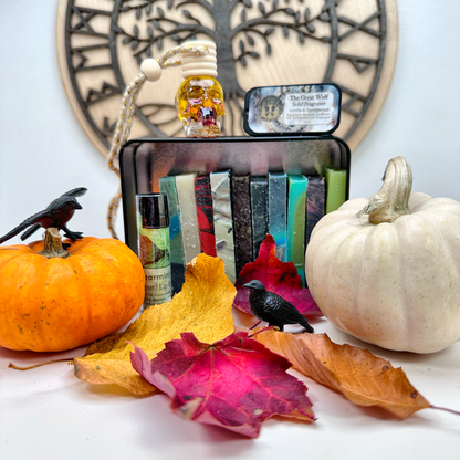 SHOP TOUR Variety Pack & Skull Car Freshener