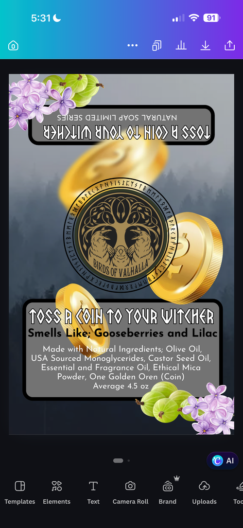 Toss a Coin to Your Witcher
