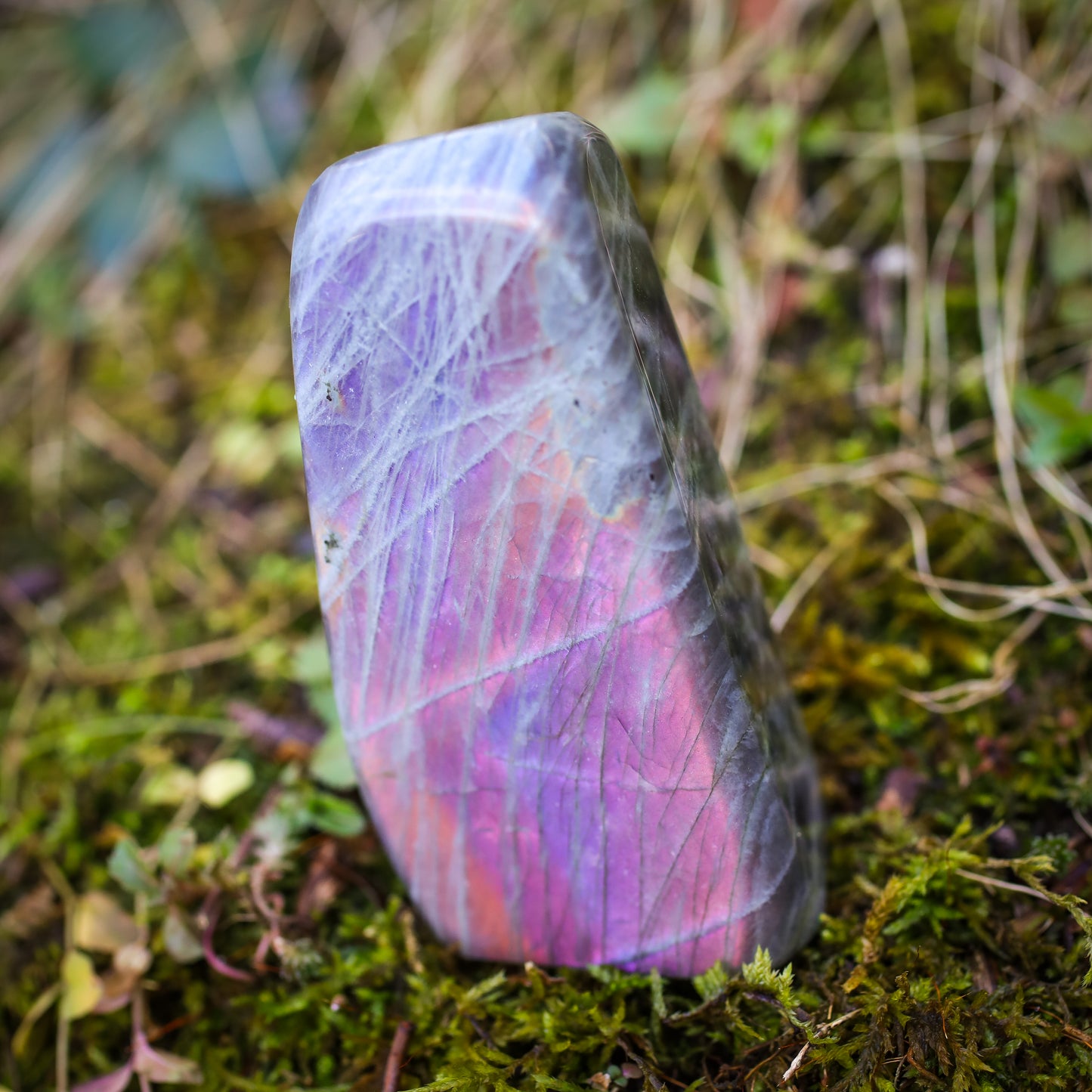 Labradorite Crystal Free Forms, Birds of Valhalla, Gemstones, Birds of Valhalla