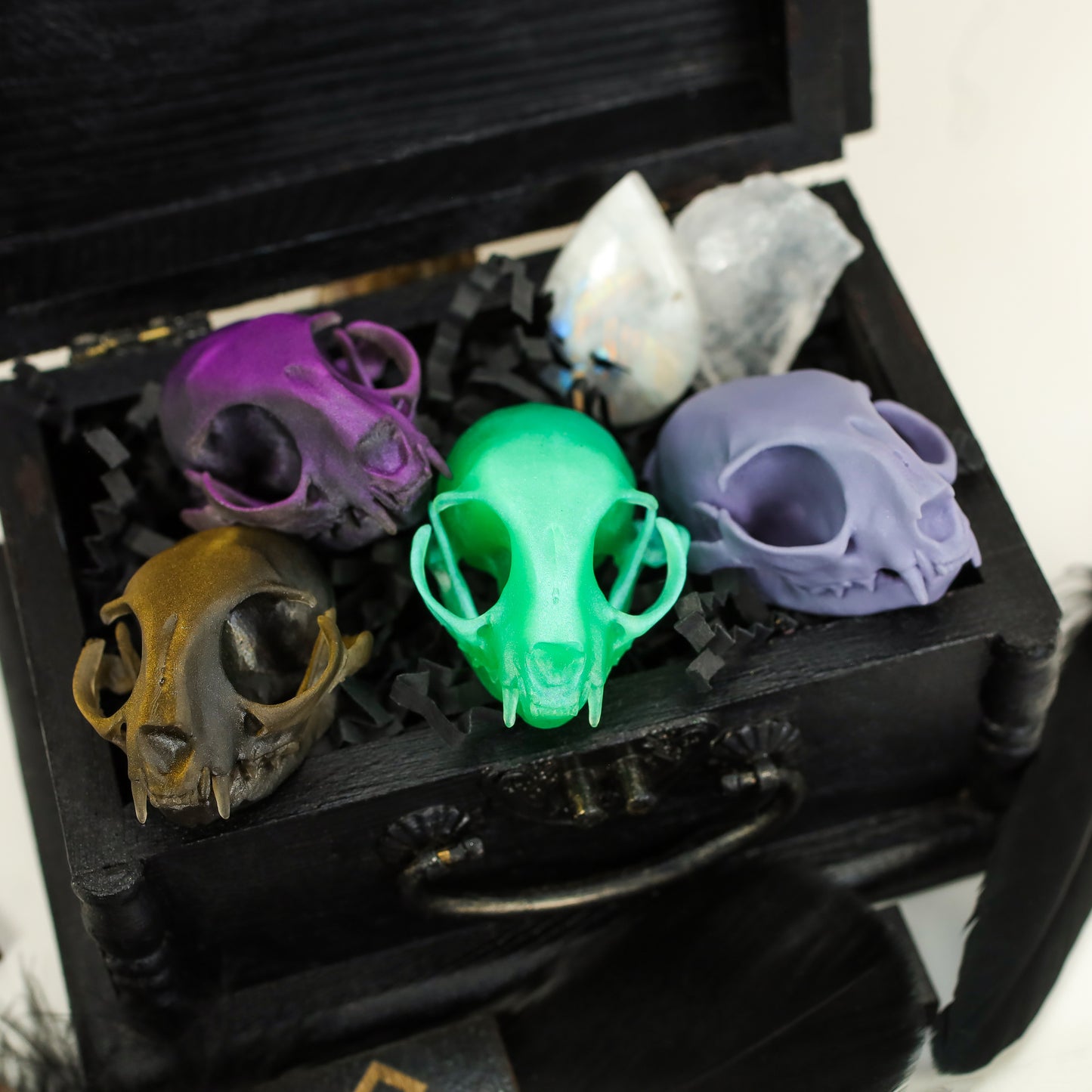 Miniature Cat Skulls, Birds of Valhalla, , Birds of Valhalla