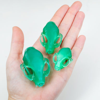 Miniature Cat Skulls, Birds of Valhalla, , Birds of Valhalla