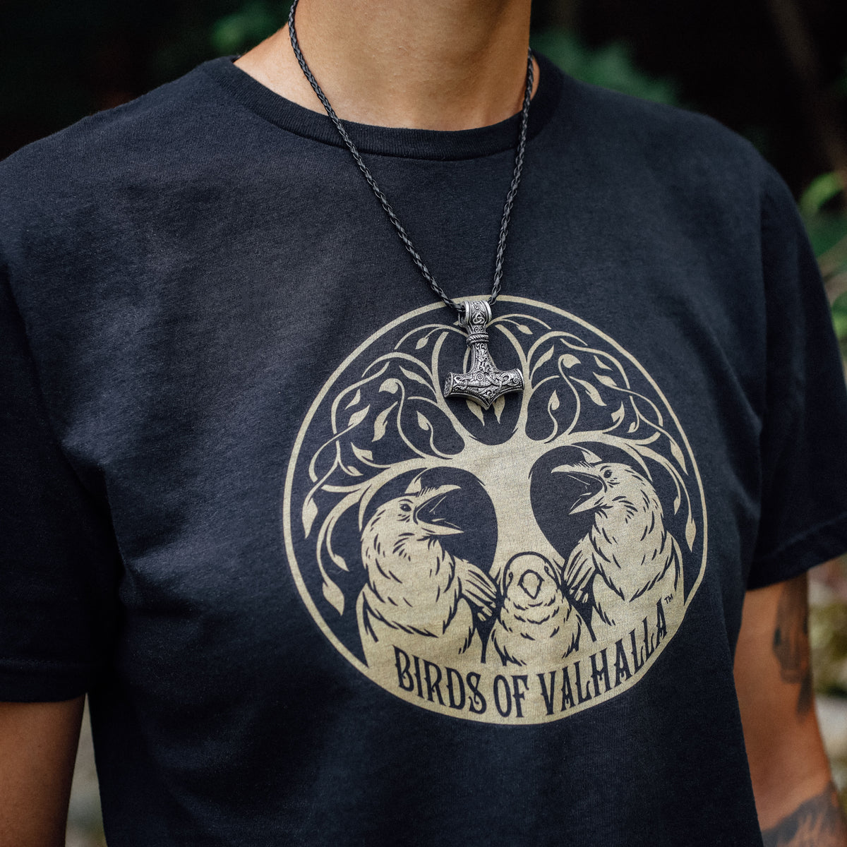 Wash Your Asgard Birds of Valhalla Unisex Tee Shirt, Birds of Valhalla, T-Shirt, Printify