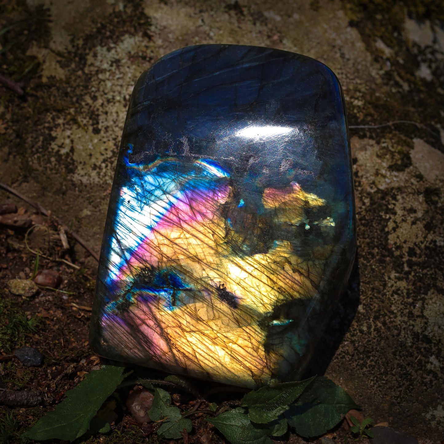 Labradorite Crystal Free Forms, Birds of Valhalla, Gemstones, Birds of Valhalla