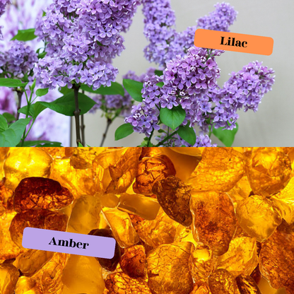 Glass Skull Car Air Freshener Diffusers, Birds of Valhalla, Vehicle Air Fresheners, Birds of Valhalla