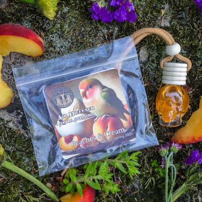 Glass Skull Car Air Freshener Diffusers