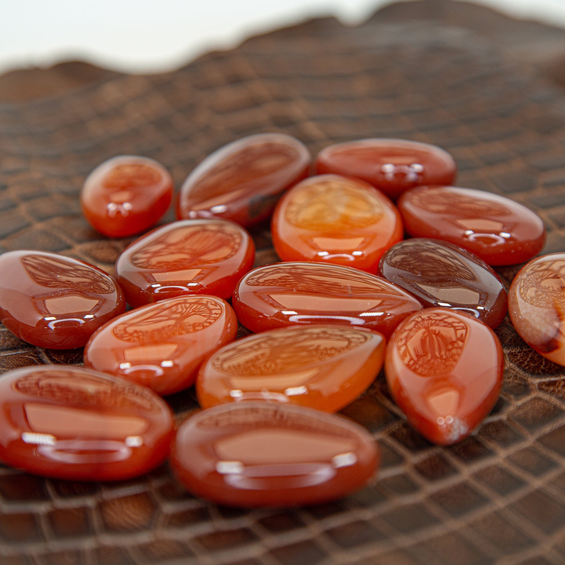 Carnelian Cabochons, Birds of Valhalla, Crystals, Birds of Valhalla