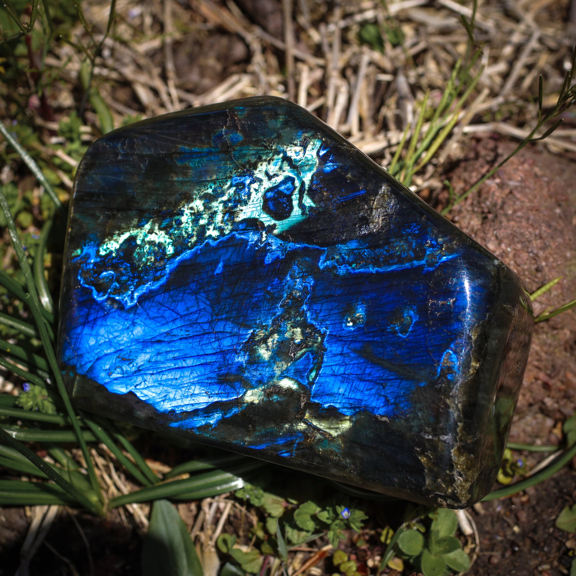 Labradorite Crystal Free Forms, Birds of Valhalla, Gemstones, Birds of Valhalla