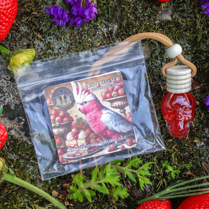 Glass Skull Car Air Freshener Diffusers