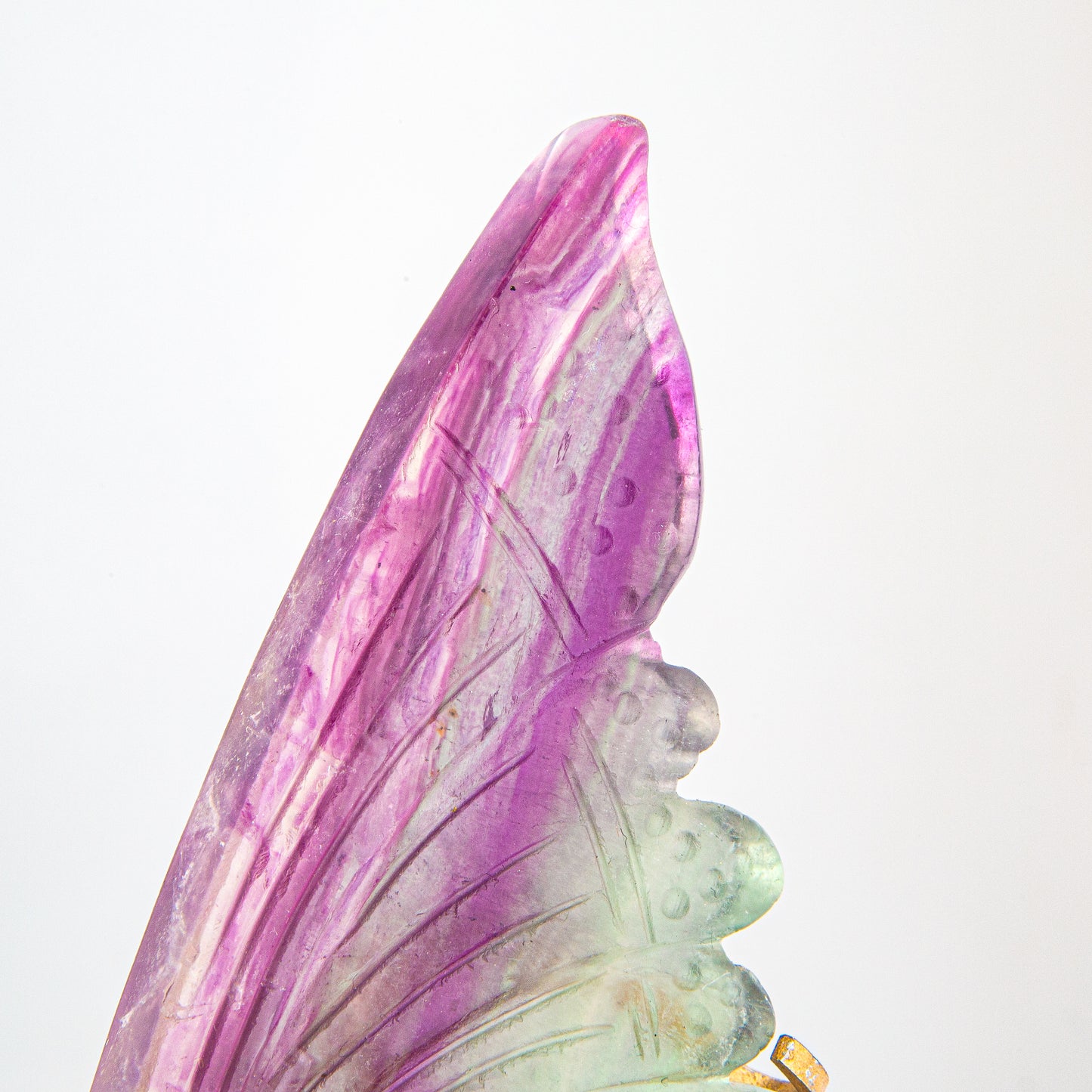 Flourite Fairy Wing Set with Stand, Birds of Valhalla, , Birds of Valhalla