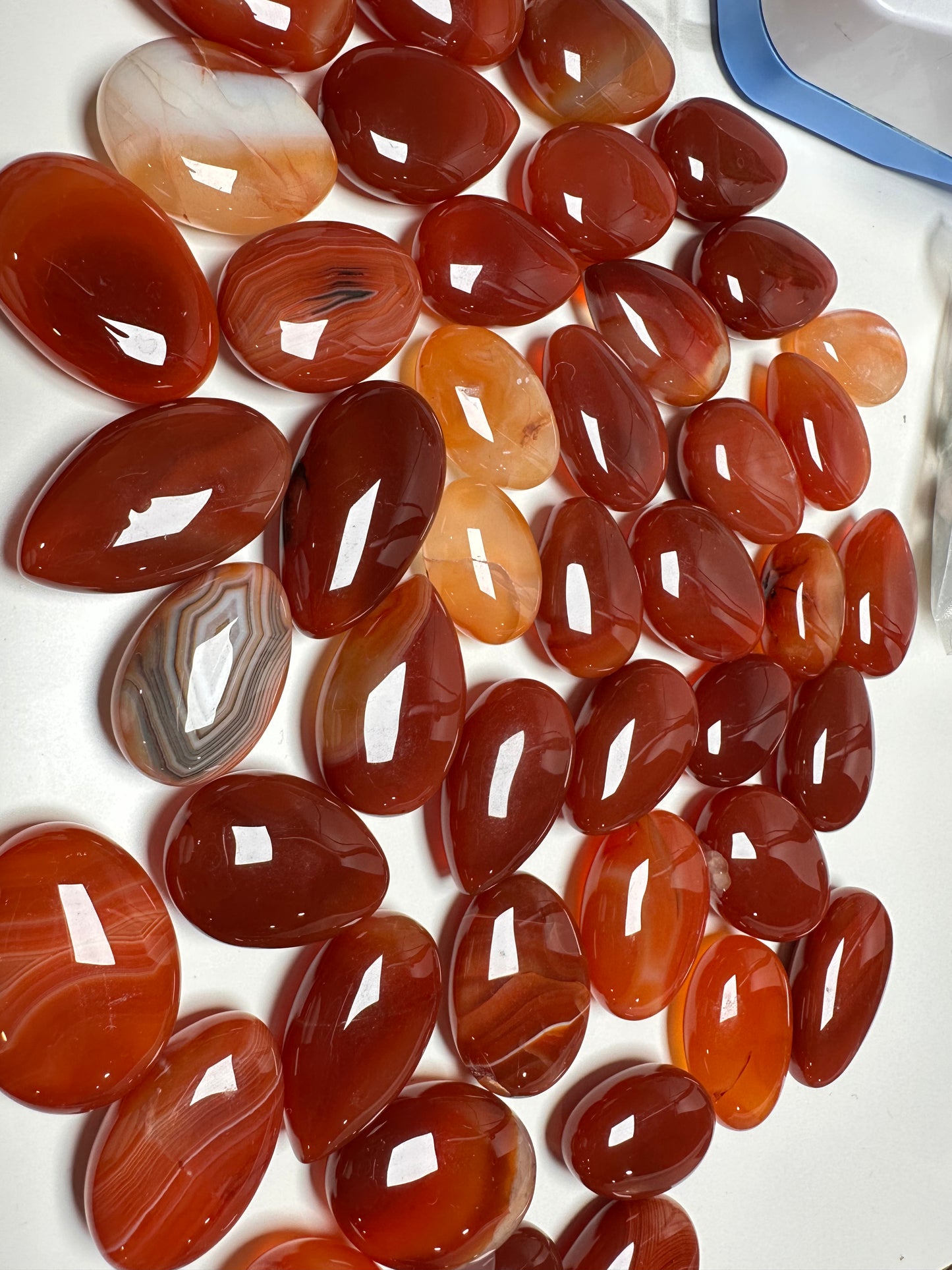 Premium Carnelian Cabochons, Birds of Valhalla, Crystals, Birds of Valhalla